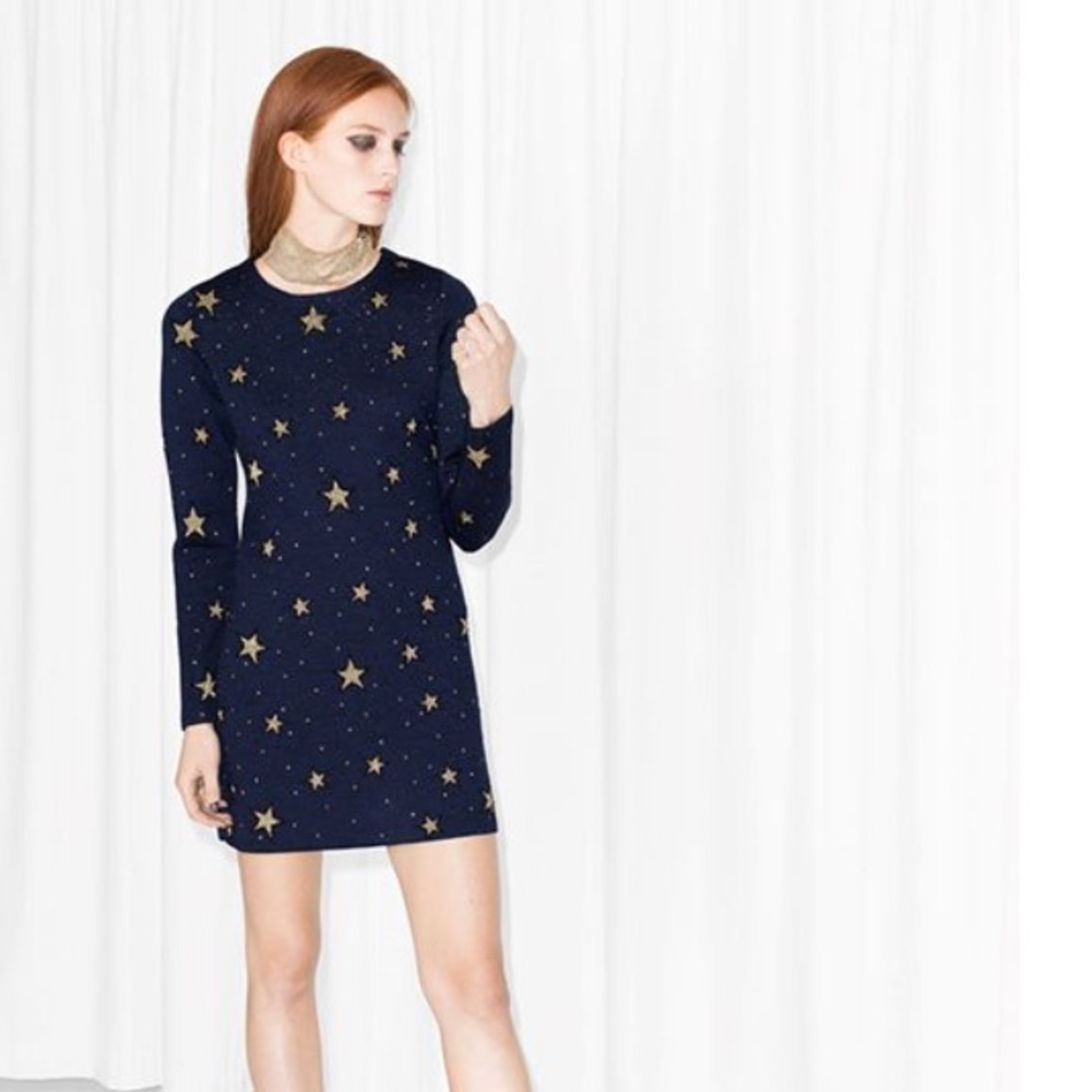 LAST CHANCE ✨ & Other Stories Night Sky Dress